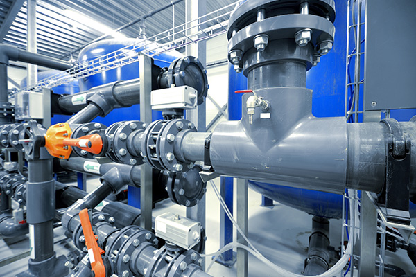 सामान्य भल्भ संरचना र विशेषताहरु